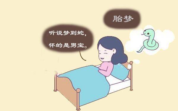 梦见自己怀孕是女孩_怀孕一个多月变漂亮是女孩吗_怀孕梦见生女孩