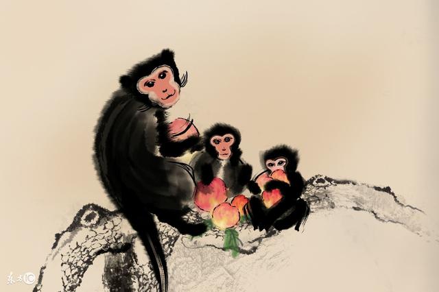 1968年属猴的女人一生的命运 土猴之人少年运势辛苦