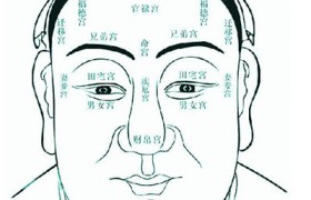 五官看相口_人的面部五官是哪五官_男人五官看相