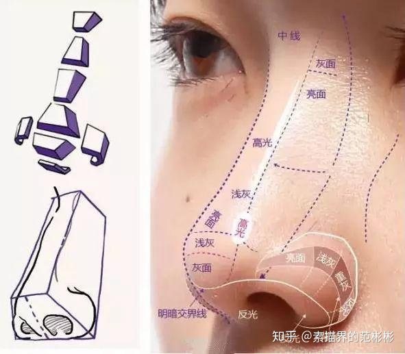 五官也是有体积的，画出体积感，五官才会更立体，值得一看！