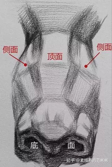 五官也是有体积的，画出体积感，五官才会更立体，值得一看！