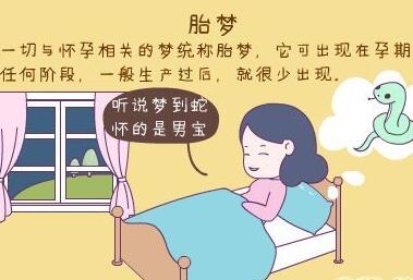 梦见老婆怀孕快生二胎_梦见自己怀孕马上要生了_怀孕梦见自己生女孩