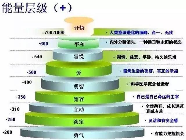 宇宙中的四类生，的生命体相，是由“同一”认知体系形成