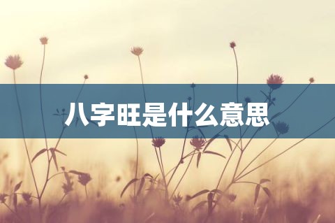 八字旺是什么意思