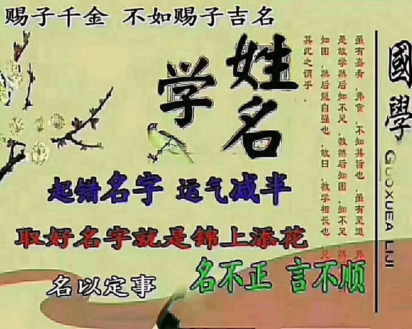 二燕名字难听_难听的名字_angelababy名字难听