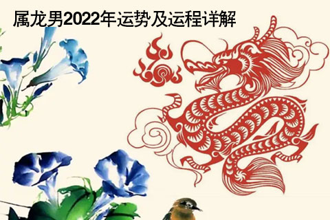 2012年属龙的运程_属蛇人2012年运势运程_2012年属什么龙