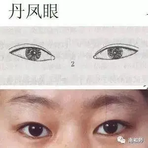 男人看面相图解_看男人面相痣算命图解_男人面相图解