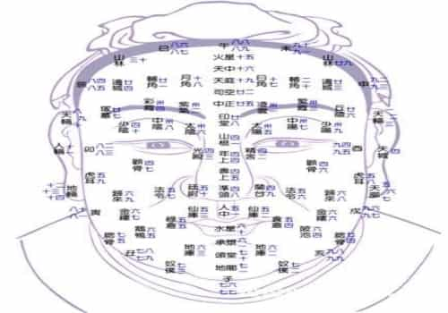 手相流年_手相流年秘法_手相流年