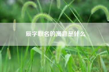 辰字取名的寓意是什么?宸和辰哪个寓意更好?