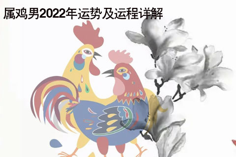 2017属蛇人全年运势_2016属猪人全年运势_属鸡人全年运势