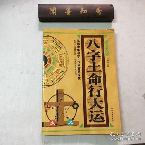 丙火生亥月大格局命例_丁火生于亥月_丙火生于亥月格局