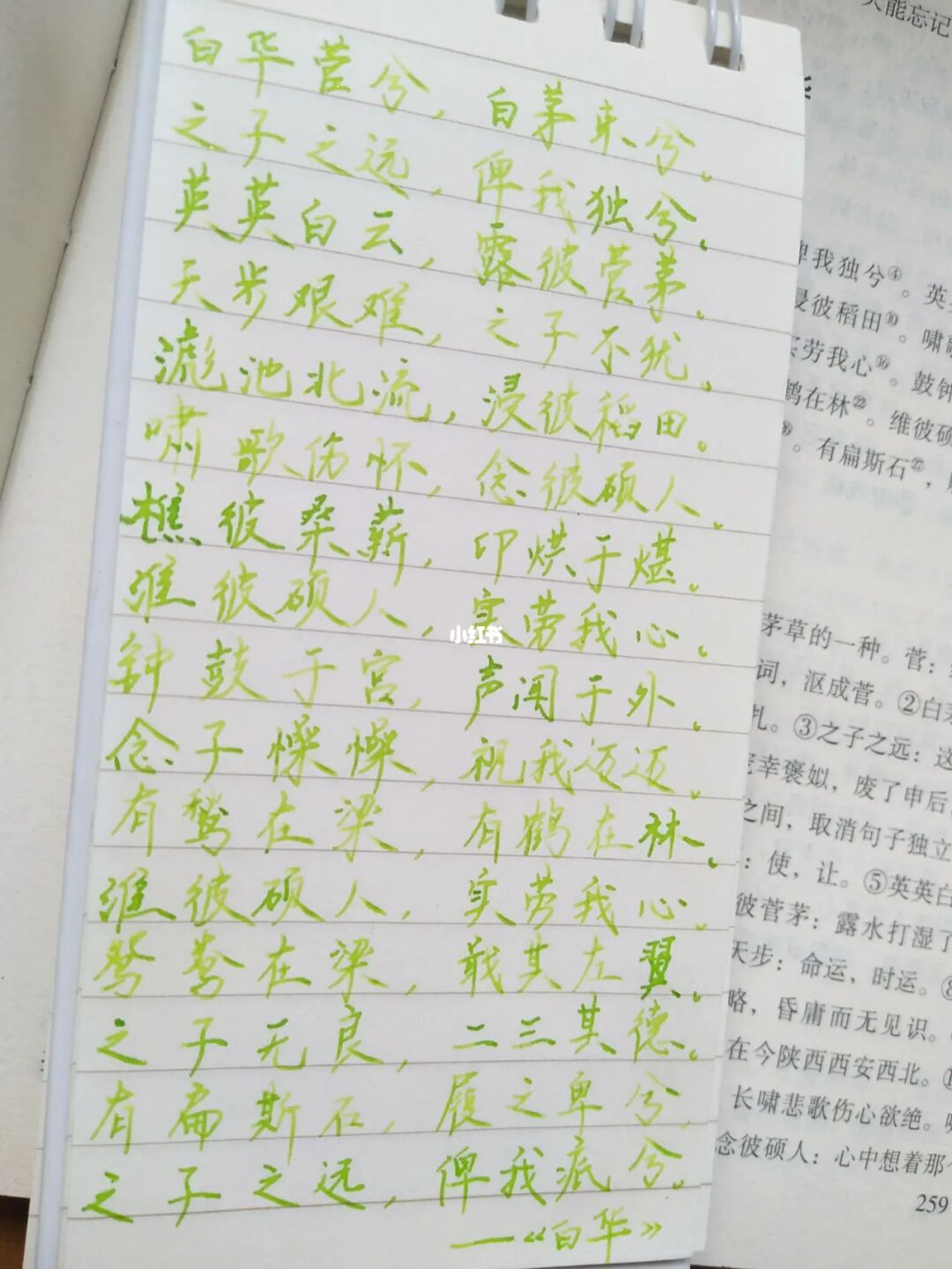 诗经取名男孩_诗经双胞胎男孩取名_男孩取名用诗经还是楚辞