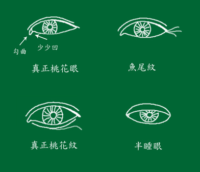 桃花眼型是什么样的意思 桃花眼和丹凤眼的区别