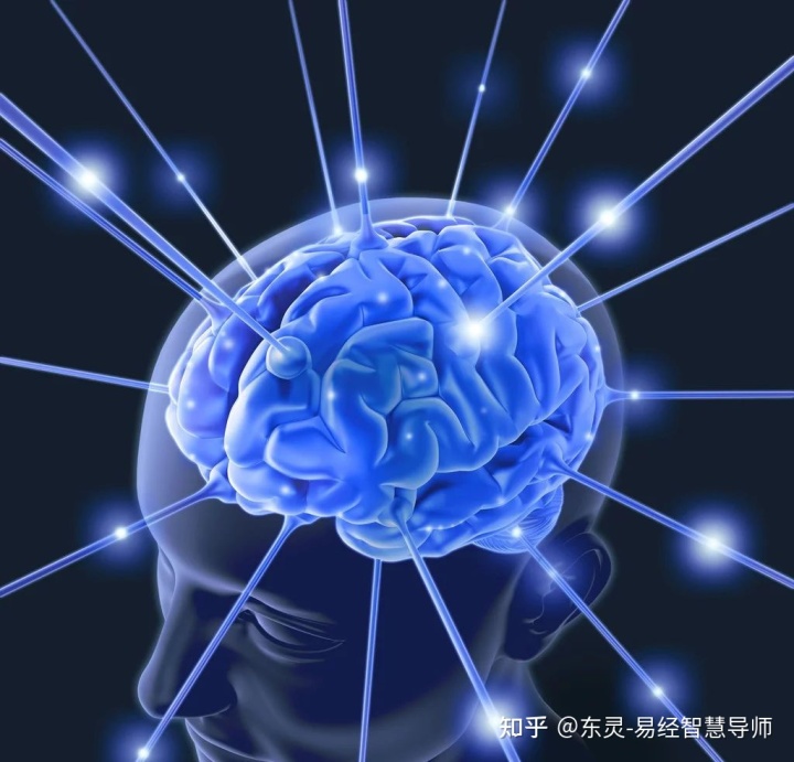 水瓶座明日运势分析_最准的星座运势分析_数字运势分析