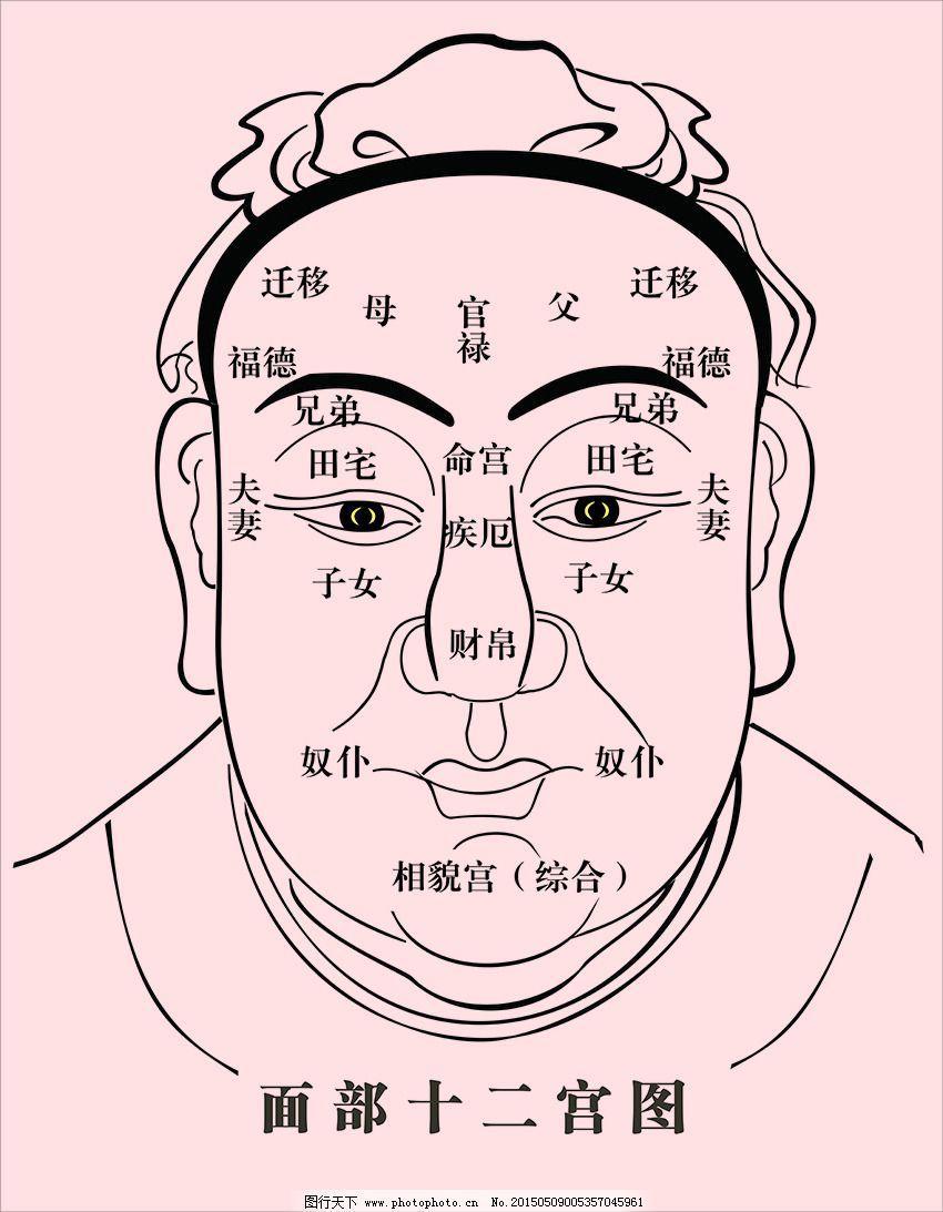 面相鼻子_面相鼻子好_鼻子面相算命图解