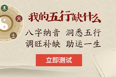 生肖属猪的年份_12生肖年份_12生肖年份表