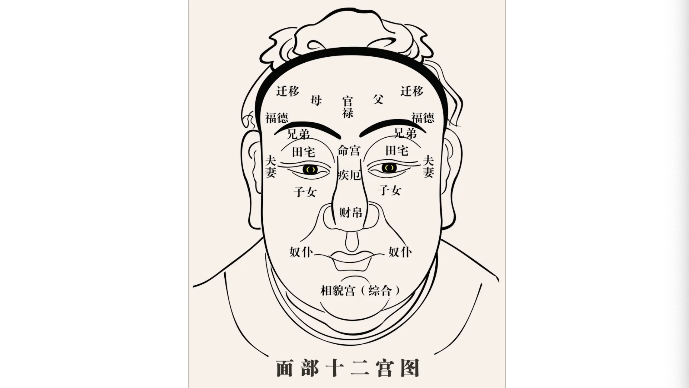 看眼睛面相_面相雀斑看命运_如何看面相