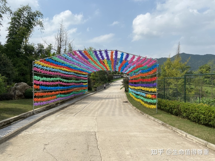 墓地怎样选_选墓地哪排哪号最好_如何选墓地风水