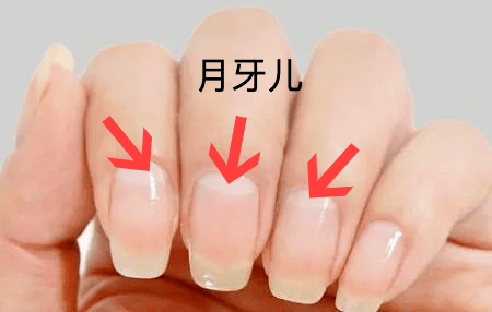 指甲上的小月牙代表什么_指甲月牙_指甲上的月牙代表什么生育能力吗