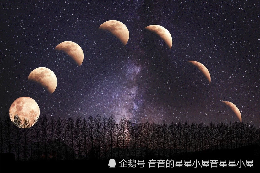 星座月亮查询_月亮星座_张信哲星座月亮