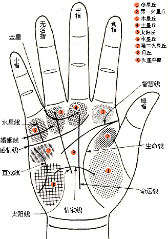 手相感情线看外遇_教你看手相_手相太阳线图解看成功运