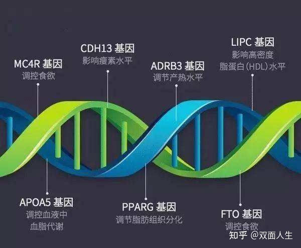 一生命运测试_测试一生命运_名字测试一生命运