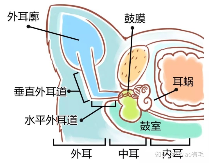 梦见别人掏我的耳朵_梦见掏耳朵_掏完耳朵耳朵疼