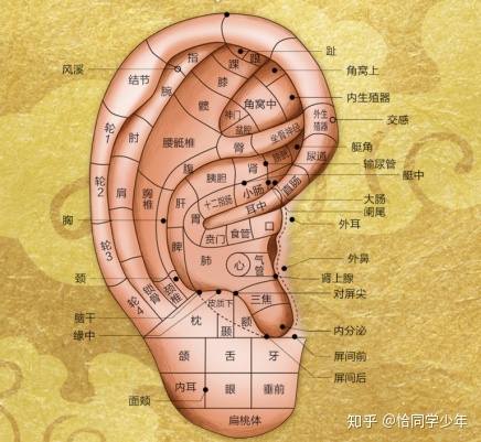 掏完耳朵咽东西耳朵疼_梦见掏耳朵_掏完耳朵耳朵里面痛