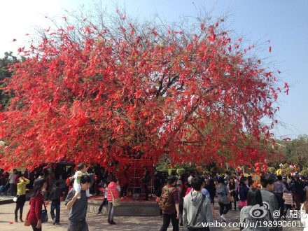 运势2016星座运势查询_狮子座运势今日运势_运势什么意思