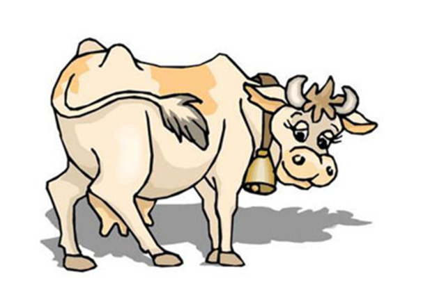 1997年属牛的最佳配偶 97年属牛的和什么属相最配