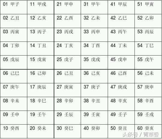 地支藏天干_天干地支与十二生肖_地支藏天干强度表