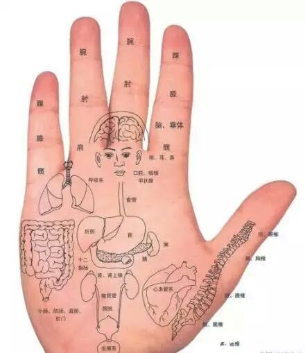 掌纹看健康 你的健康秘密手掌看出来_如何从掌纹来诊断你的疾病
