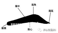 眉毛有痣看相_八字眉毛看相_各种类型眉毛看相图解