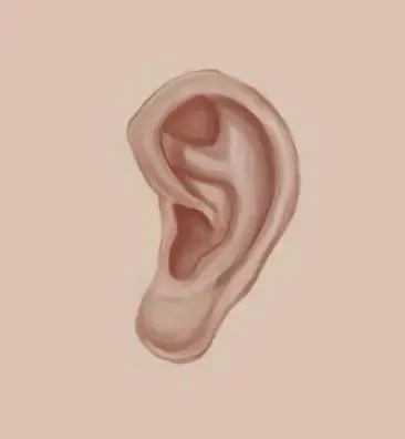 耳垂下方有痣代表什么 哪些地方长痣最好