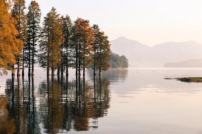 梦见红裤衩_梦见红鱼_梦见红蛇是什么意思