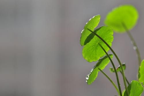 做梦梦见自己杀人埋尸_梦见杀人毁尸灭迹_阚疃镇杀人毁尸图片