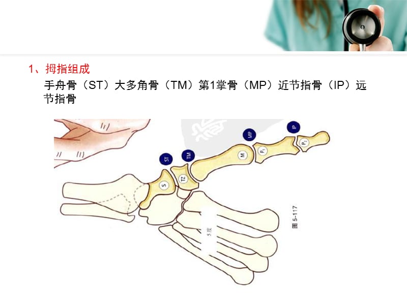 左手母指发麻是什么原因_左手无名指长痣_左手右手伴奏无伴唱