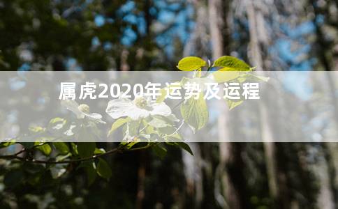 属羊2022运势及运程详解（2022年羊生肖运程）