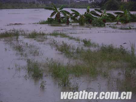 周公解梦梦见井里涨水_做梦梦见下雨涨水_梦见下雨涨水