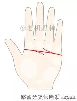 什么是假断掌？几种假断掌掌纹的特征