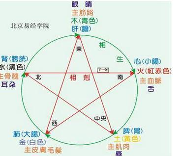 测八字五行_测五行八字查询器_出生时辰测八字五行