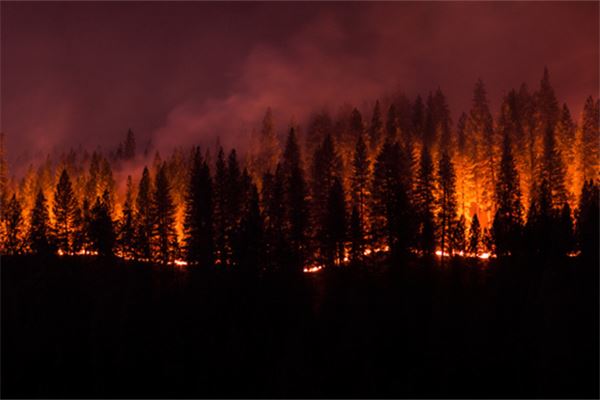 梦见熊熊大火_梦见大火烧山被自己扑灭_梦见大火熊熊火光冲天