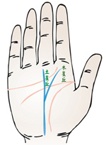 手相事业线_女性手相事业线成功线_手相事业线爱情线生命线怎么看