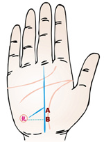 手相事业线爱情线生命线怎么看_手相事业线_女性手相事业线成功线