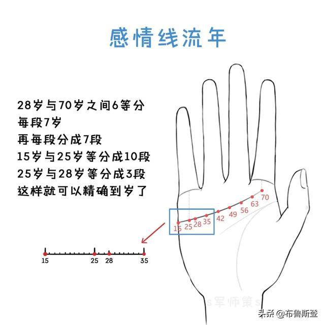 感情线图解大全分叉图片