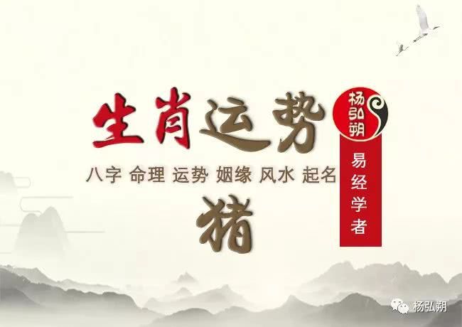 属猪2019年运势_90年属马的2019年运势_93年属鸡人2019年运势