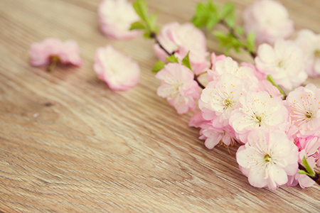 桃花小妹之余一的桃花_英山桃花冲什么时候看桃花最好_桃花痣