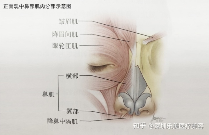 眼皮跳的预兆_右眼皮跳了半个月预兆_左眼皮老跳是什么预兆