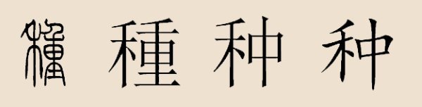 姓氏解密丨什么，还有人姓“种”？可别念错了！