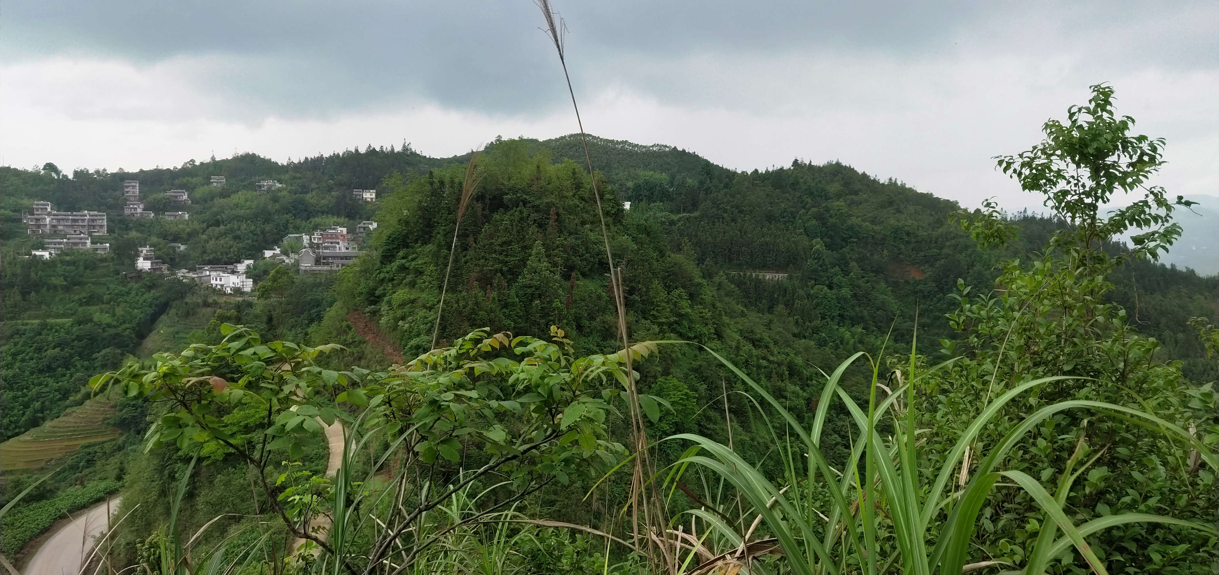 寻龙点穴作品，蟠龙形风水大地土腹藏金穴